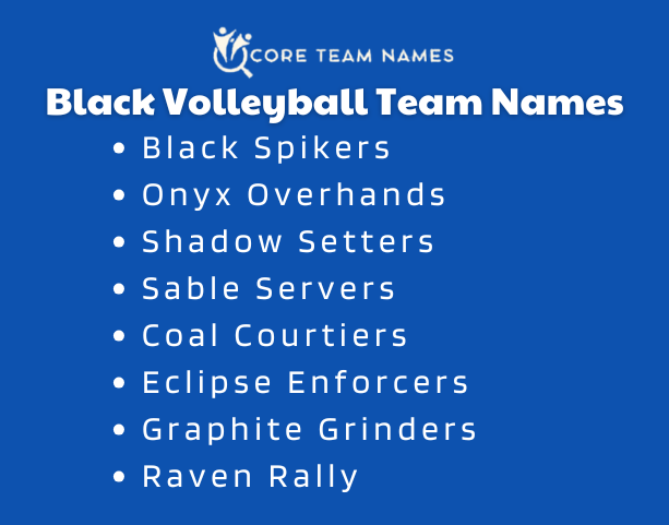 Black Volleyball Team Names