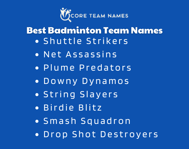 Best Badminton Team Names