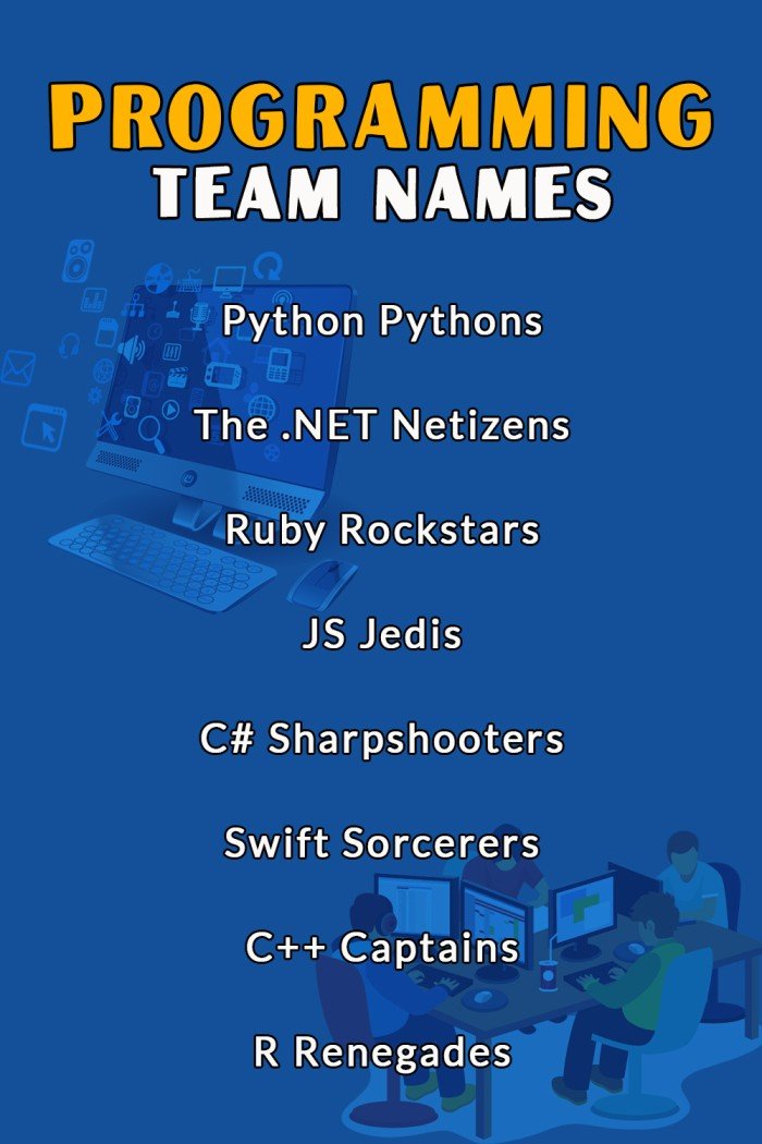 Programming Team Names